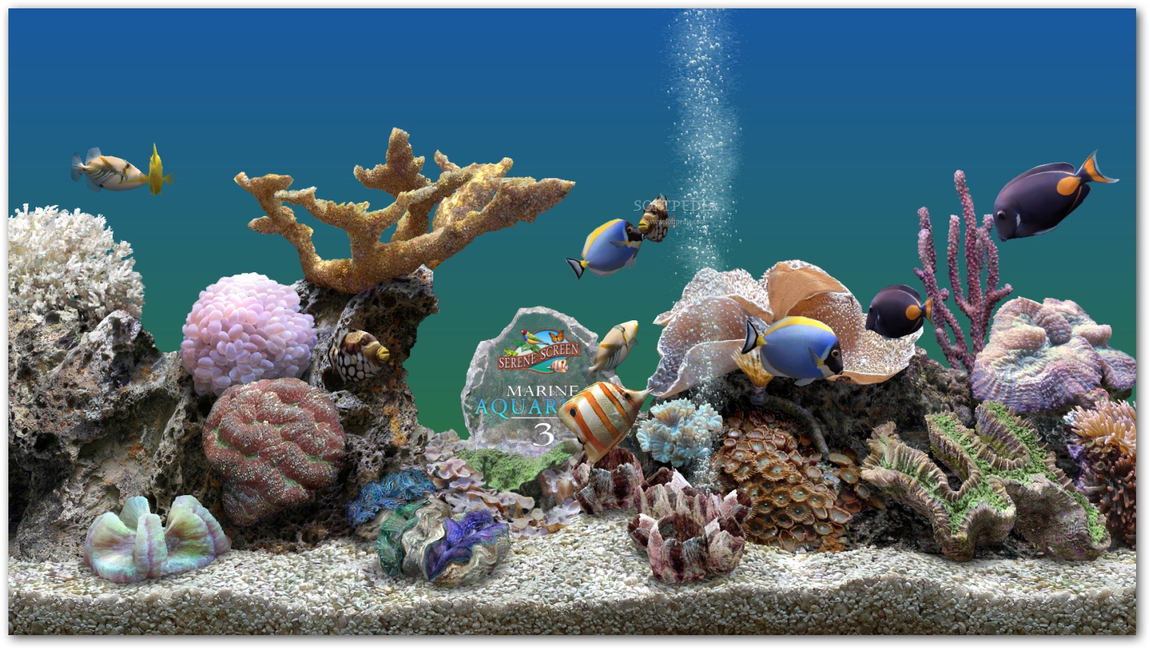 Marine-Aquarium-Time_1.jpg